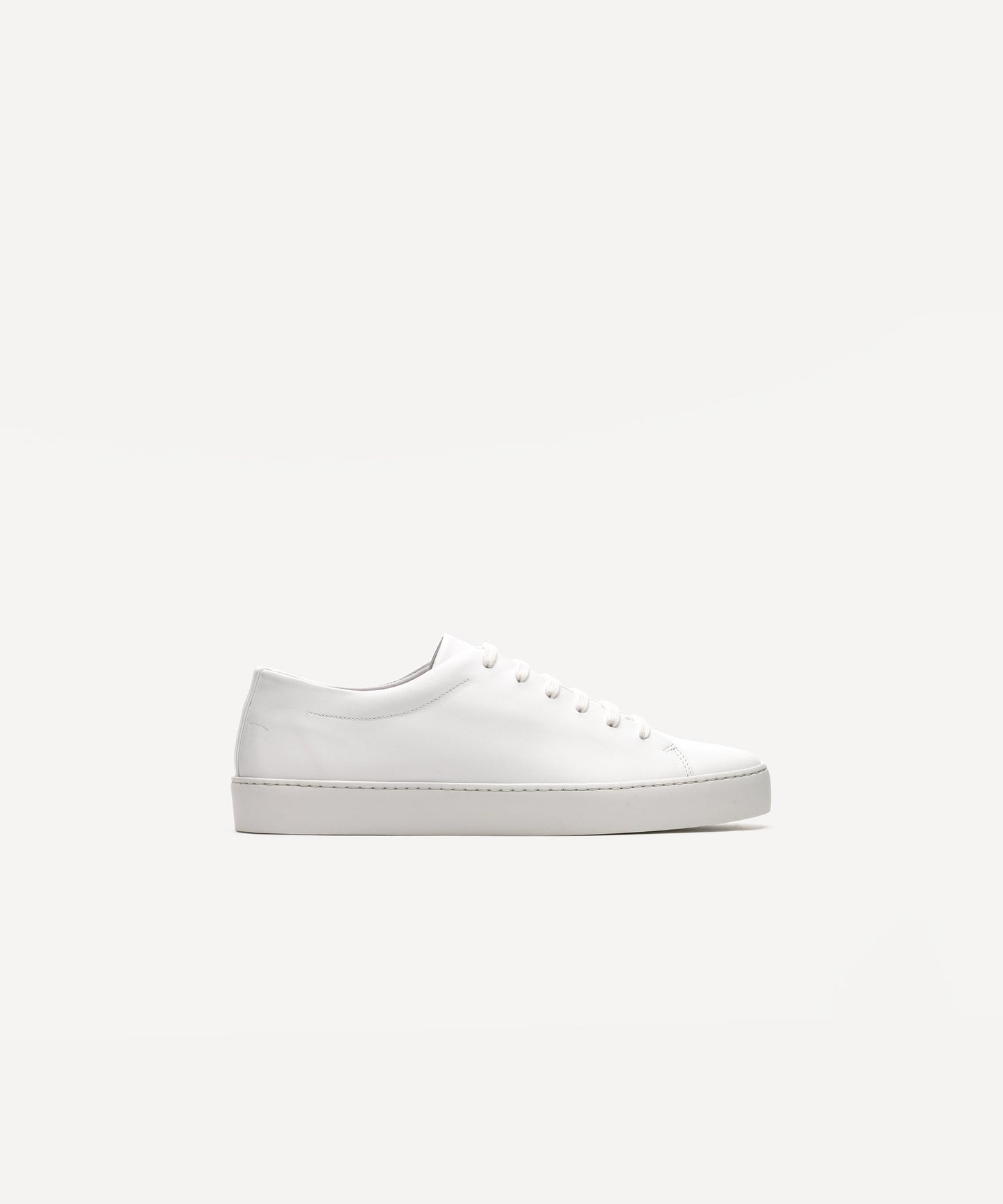 Royal White