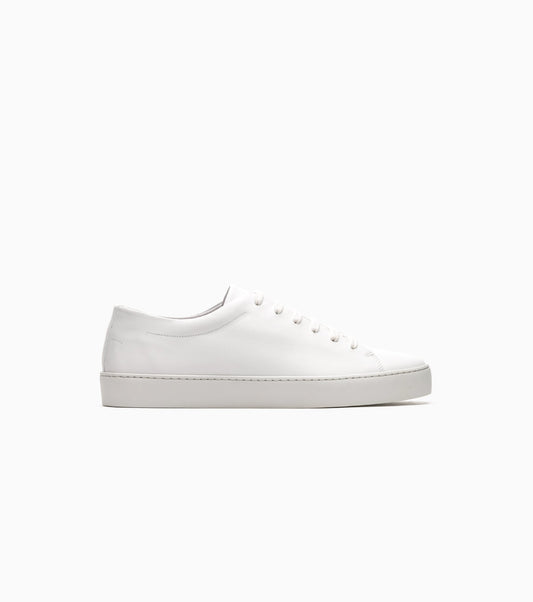Royal White