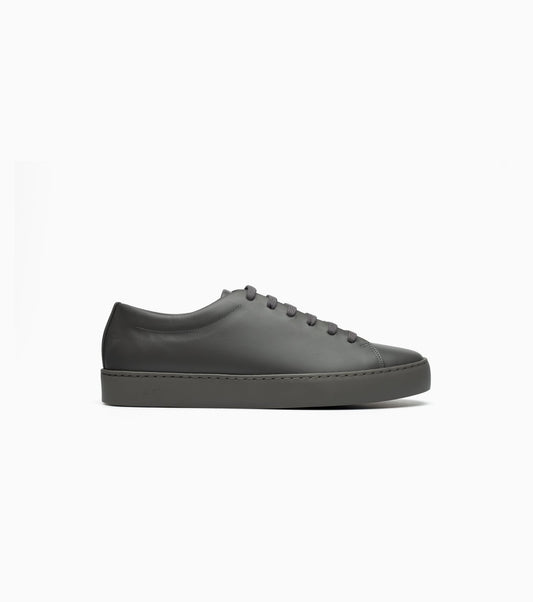 Royal All Grey